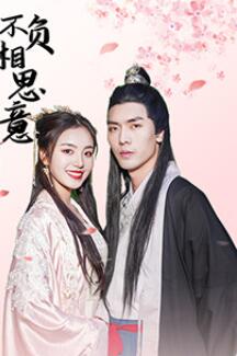 不负相思意第13集