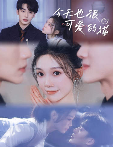 今天也很可爱的猫全集(大结局)