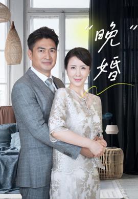 晚婚全集(大结局)