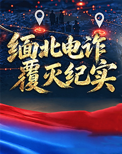 缅北电诈覆灭纪实(全集)